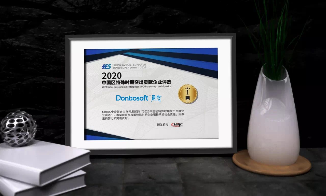 2020中国区特殊时期突出贡献企业